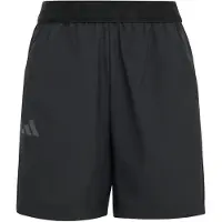 Adidas Short enfant Terrex Multi Clima365