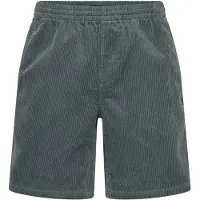 Rip Curl Pantalon 'PREMIUM SURF' vert foncé