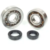 RSM Roulement Ou Joint Spi Moteur Pour Scooter Peugeot 50 Tkr Avant 2020 Neuf