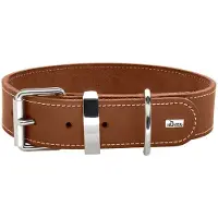 Hunter Collier Aalborg Special (Chien, Promenade)