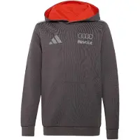 Adidas Sweat de sport 'Audi Revolut F1 Team' gris / gris clair