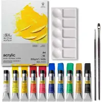 Winsor & Newton Galeria acrylic cardboard set 10x12ml +accessories (12 ml)