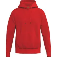Erima Sweatshirt à capuche coton TS