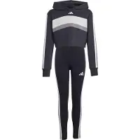 Adidas Survêtement 'SEASONAL ESSENTIALS TIBERIO 3 STRIPES FLEECE LEGGINGS' gris foncé / noir / blanc