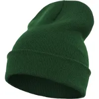 Flexfit Bonnet 'Yupoong' émeraude