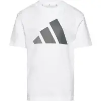 Adidas T-Shirt fonctionnel 'Essentials' gris / blanc