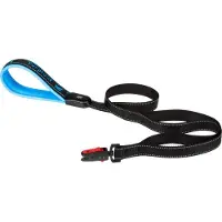 Ferplast Laisse Pour Chien Sport Matic 20 Mm 120 Cm