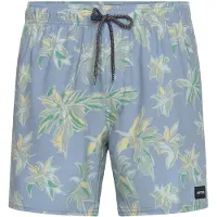 Rip Curl Sessions Volley Swimming Shorts Bleu XL Homme