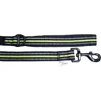 Axaeco 4 Season Dog Leash Bleu L