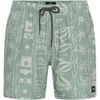 Rip Curl Sessions Volley Swimming Shorts Vert S Homme