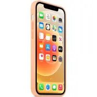 Apple iPhone 12 mini Silicone Back Cover avec MagSafe Melon