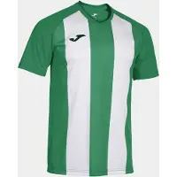 Joma Inter IV Maillot manches courtes homme - Vert / Blanc