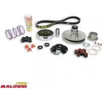 MALOSSI Variateur Pour Scooter Aprilia 50 Sr Motard 2013 6114219 / Over Range Neuf