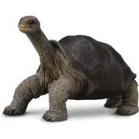 Collecta Tortue géante