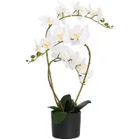 vidaXL Plante orchidée artificielle avec pot Blanc 45 x 15 x 65 cm