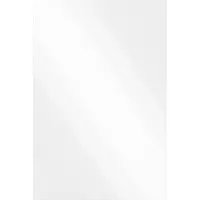 vidaXL Miroir mural rectangulaire 50 x 80 cm en verre trempé