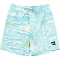 Quiksilver Everyday Printed Volley 14´´ Swimming Shorts Bleu 12 Years Garçon