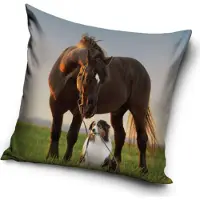 Carbotex Taie d'oreiller Cheval et Border Collie