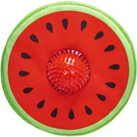 Beeztees Jouet Pour Chien Melon Spikie