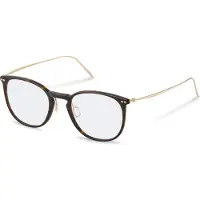 Rodenstock R7136 Pantos Glasses Marron 145/54 mm Homme