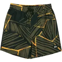 Quiksilver Everyday Printed Volley 14´´ Swimming Shorts Vert 10 Years Garçon