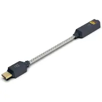 IFi Audio GO link 2 (USB-DAC), Amplificateur pour casque, Noir