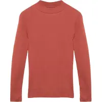 s.Oliver T-Shirt canneberge