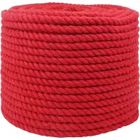 vidaXL Corde Rouge 1 x 1 x 2500 cm Coton