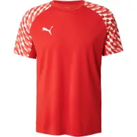 Puma T-Shirt fonctionnel 'TeamLiga26' rouge / rouge feu / blanc