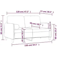 vidaXL Canapé 2 places avec coussins décoratifs noir 120 cm velours