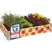 Garronda Cadre en bois avec imprimé – Jardinières surélevées pour plantes, fleurs, fruits, légumes, bois avec imprimé décoratif tomate avec fond