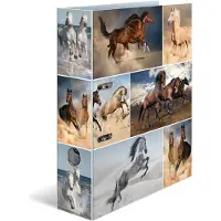 Herma Dossier A4 Motif (A4, 70 mm, 1 pcs)