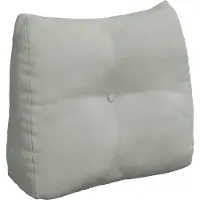 vidaXL Coussin de Dos Gris clair 60 x 24 x 50 cm Velours