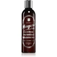 Morgans Cooling Menthol Shampoo shampooing énergisant cheveux et cuir chevelu à la menthe pour homme 250 ml