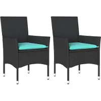 vidaXL Chaises de jardin avec coussins 2 pcs. noir poly rotin