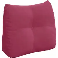 vidaXL Coussin de Dos Bordeaux 60 x 24 x 50 cm Velours