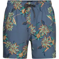 Rip Curl Sessions Swimming Shorts Bleu S Homme