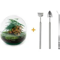 Urbanjngl Diy Terrarium - Dôme Rouge - ↕ 20 Cm