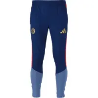 Adidas Pantalon de sport 'FC Bayern München 26/27' opal / bleu foncé / or / rouge feu
