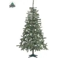 Guirma Douglas Tree 536 Branches 180 Cm Vert