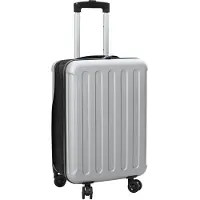 vidaXL Valise avec serrure argent 34 x 23 x 55,5 cm ABS plastique