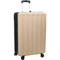 vidaXL Valise avec serrure Champagne 50 x 30 x 76 cm ABS plastique