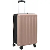 vidaXL Valise avec serrure or rose 43 x 27 x 66 cm ABS plastique