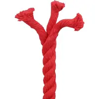 vidaXL Corde Rouge 2 x 2 x 2500 cm Coton