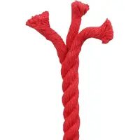vidaXL Corde Rouge 1,6 x 1,6 x 5000 cm Coton