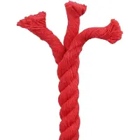 vidaXL Corde Rouge 2,4 x 2,4 x 5000 cm Coton