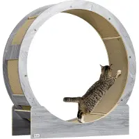 PawHut Roue d'exercice pour chat , 91 cm, avec frein, gris