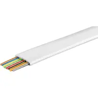 Wentronic Câble téléphonique plat 8 conducteurs Bobine de 100 m Blanc (Import Allemagne)