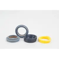 RockShox Kit anti-poussière Reba/boxxer Multicolore 32 mm Multicolore 32 mm