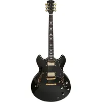 Sire Larry Carlton H7 Bk Hollow Body En